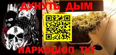 крисы Берёзовский