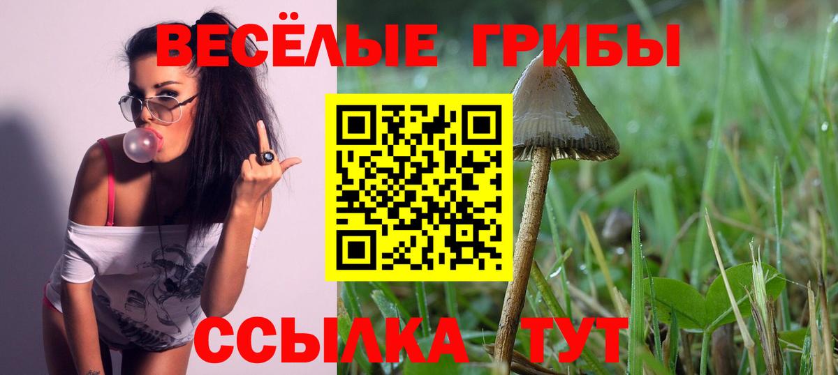 Галлюциногенные грибы GOLDEN TEACHER Джанкой