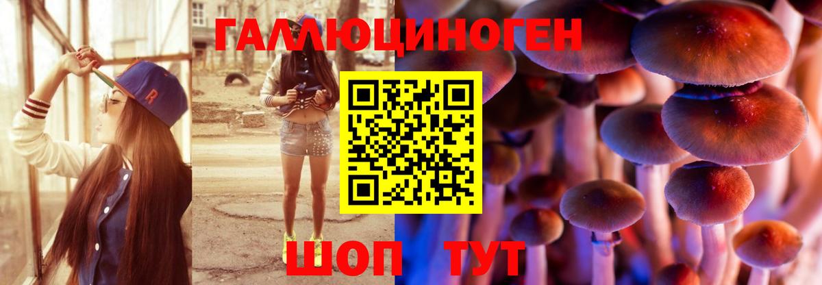 Псилоцибиновые грибы MAGIC MUSHROOMS  Вход с VPN  Галлюциногенные грибы прущие грибы  как найти   Джанкой 